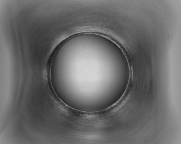 X0000113101501200908281337