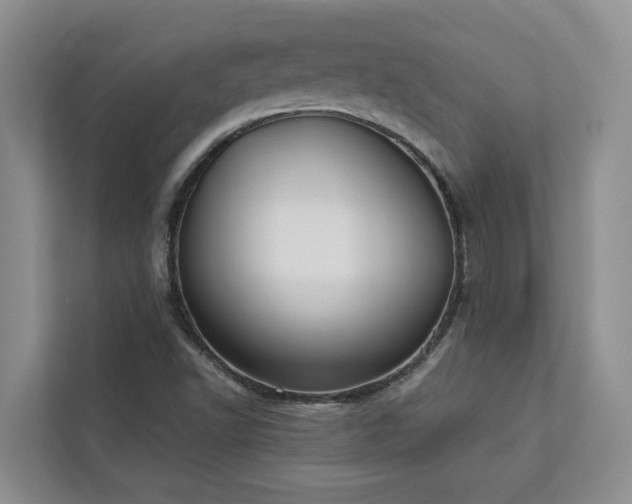 X0000113101502200908281337