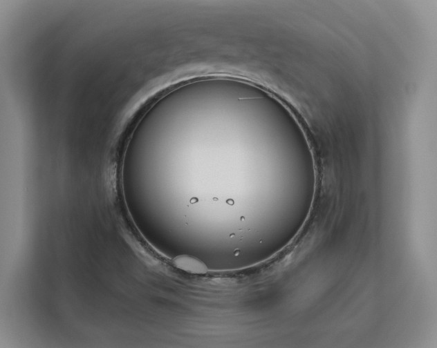 X0000113101503200908281337