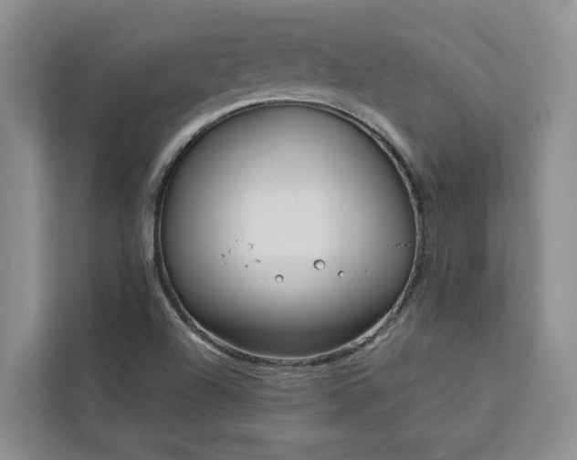 X0000113101504200908281337
