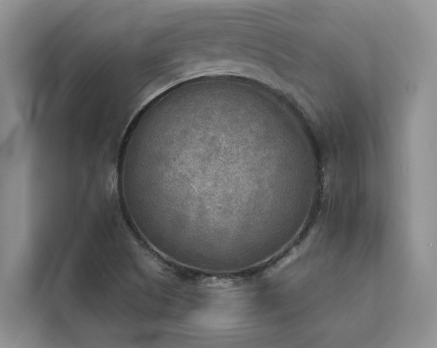 X0000113101505200908281337