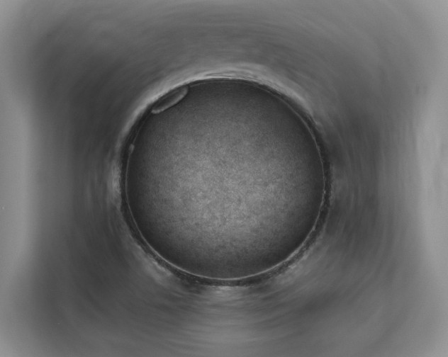 X0000113101506200908281337