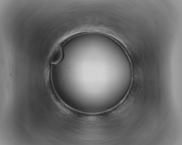 X0000113101507200908281337