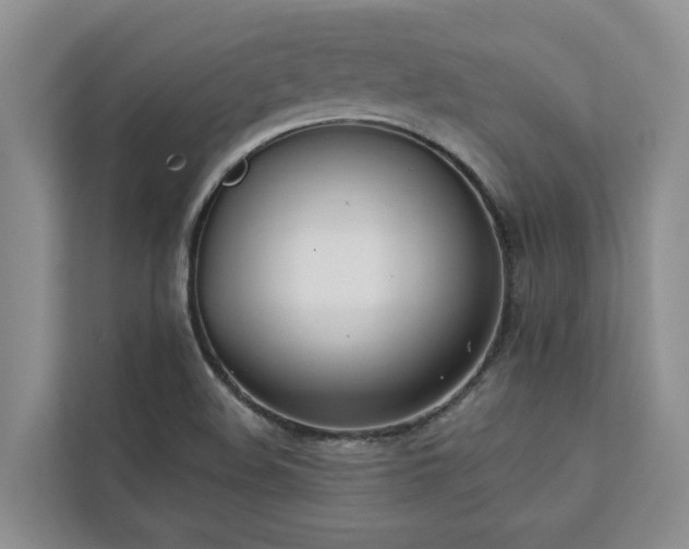 X0000113101508200908281337