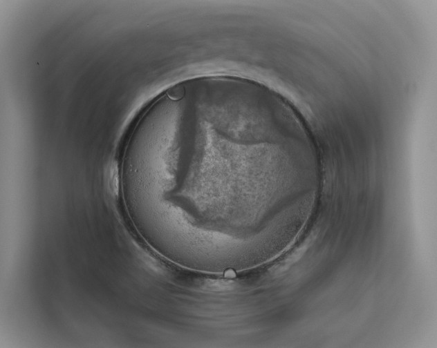X0000113101509200908281337