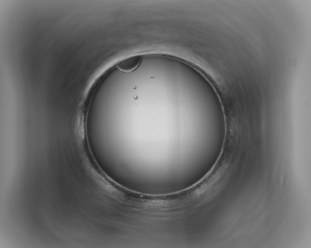 X0000113101510200908281337