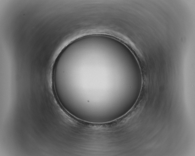 X0000113101512200908281337