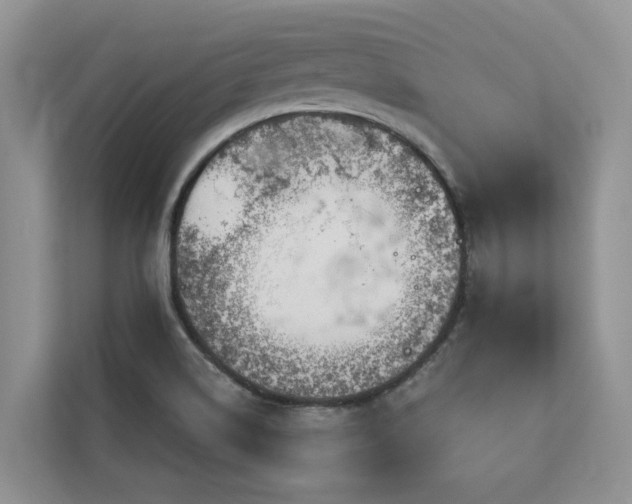 X0000113101514200908281337