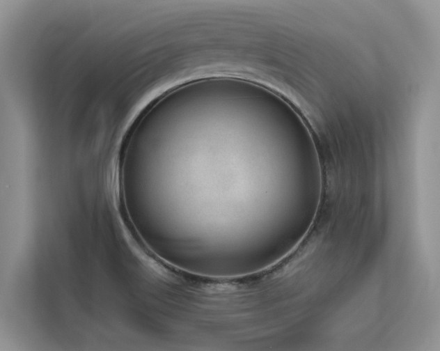 X0000113101515200908281337