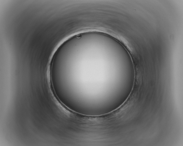 X0000113101516200908281337