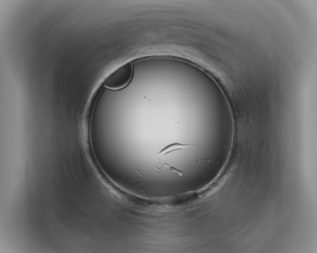 X0000113101517200908281337