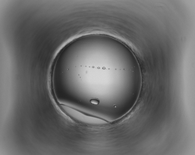X0000113101518200908281337