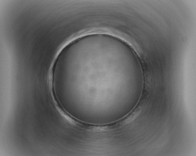 X0000113101519200908281337