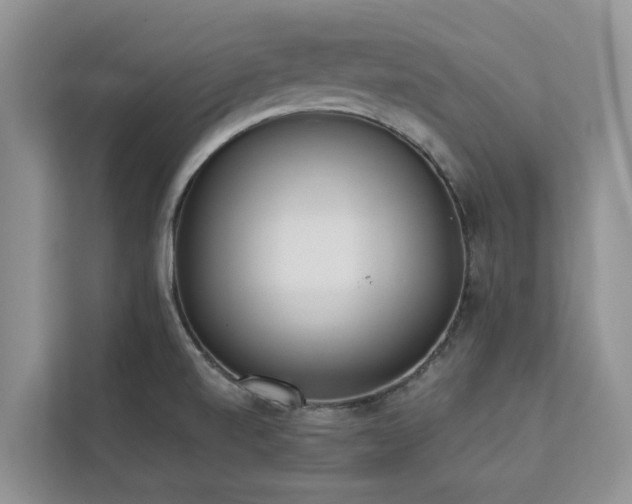 X0000113101520200908281337