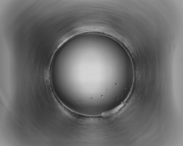 X0000113101521200908281337