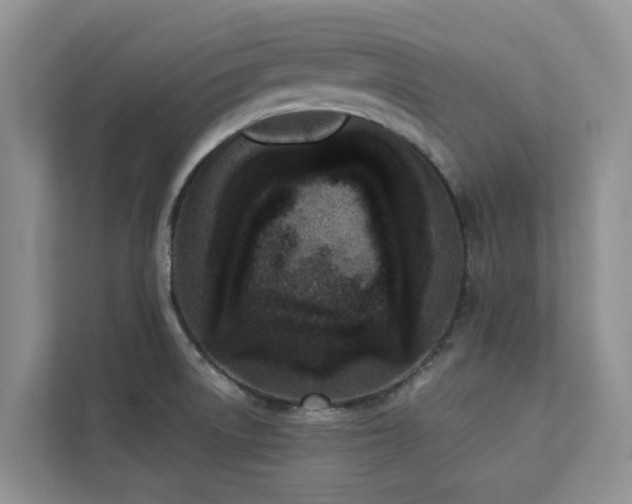 X0000113101522200908281337
