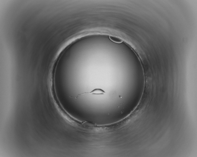 X0000113101523200908281337