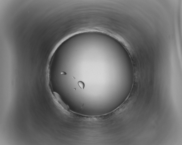 X0000113101524200908281338