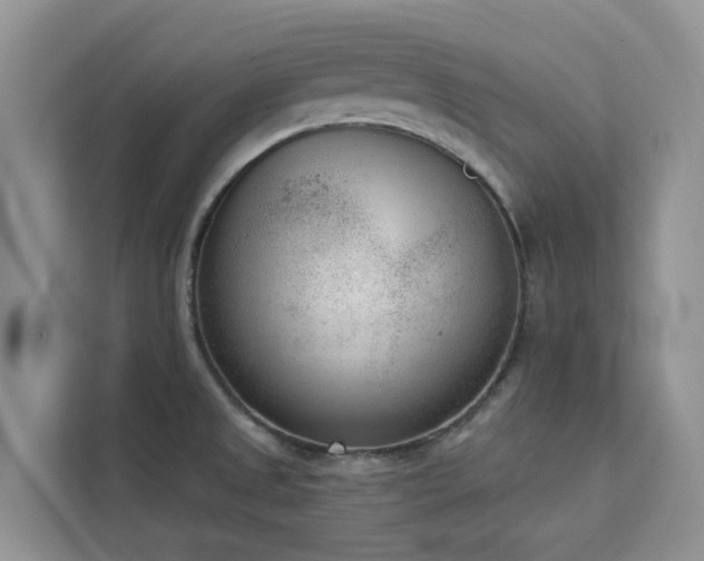 X0000113101525200908281338
