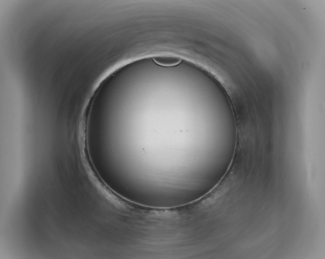 X0000113101526200908281338