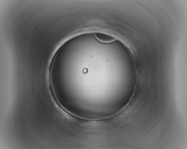 X0000113101527200908281338