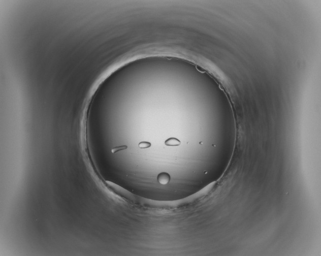 X0000113101528200908281338