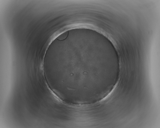 X0000113101529200908281338