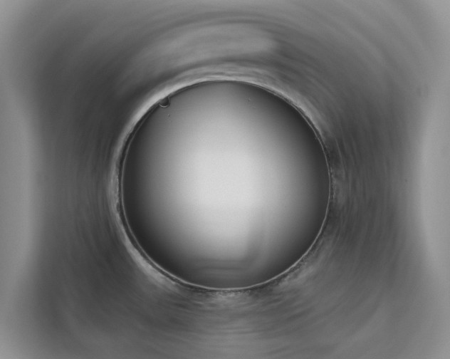 X0000113101531200908281338