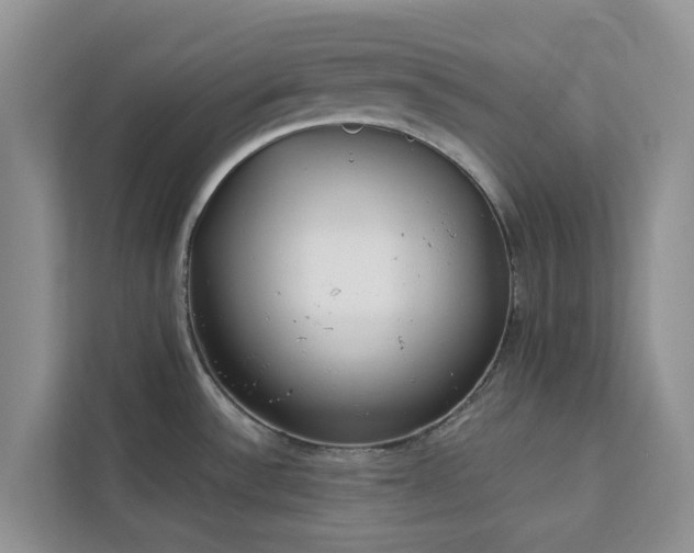 X0000113101532200908281338