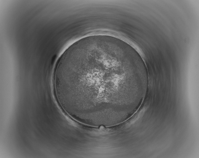 X0000113101533200908281338