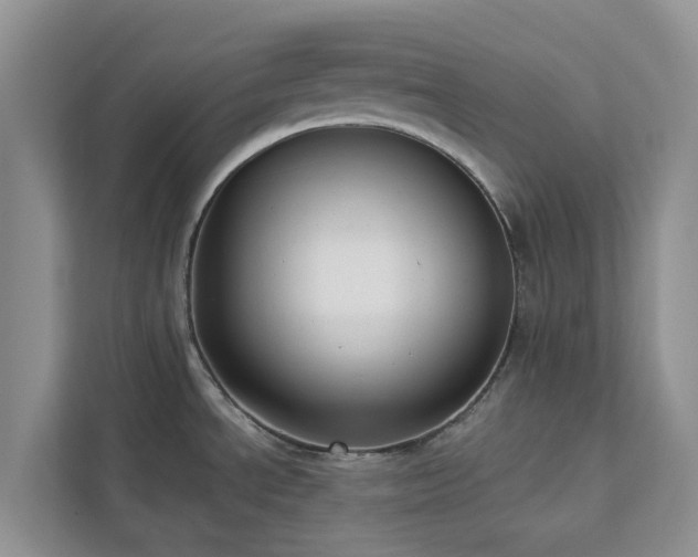 X0000113101534200908281338