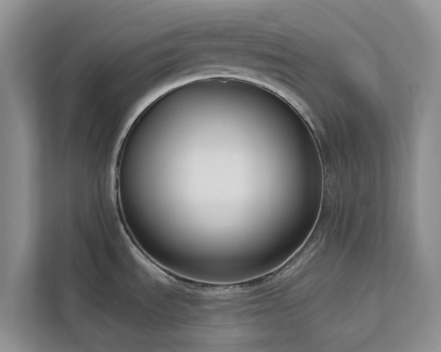 X0000113101535200908281338