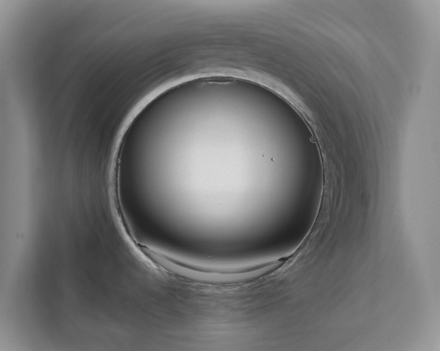 X0000113101536200908281338