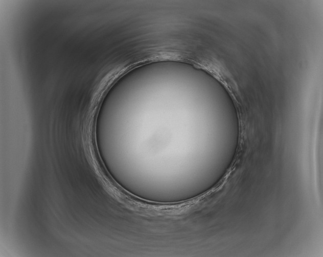 X0000113100001200909041235