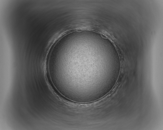 X0000113100002200909041235
