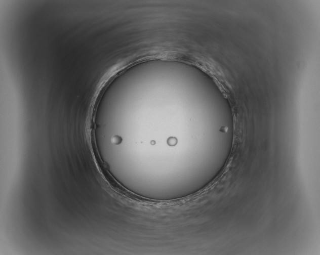 X0000113100003200909041235