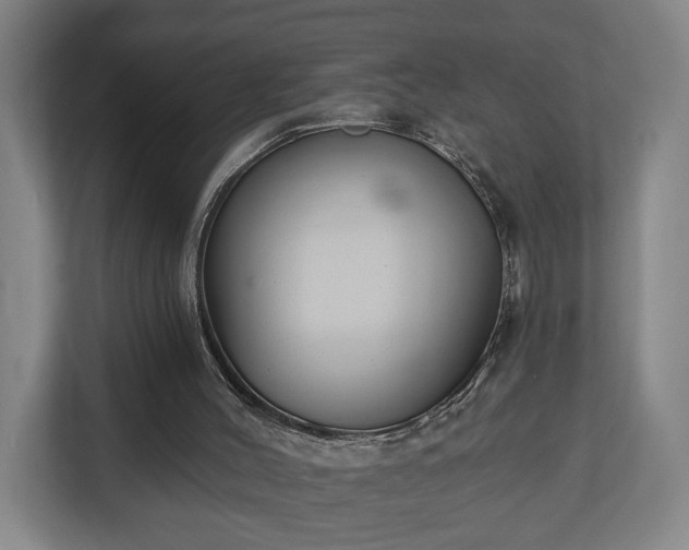 X0000113100004200909041235
