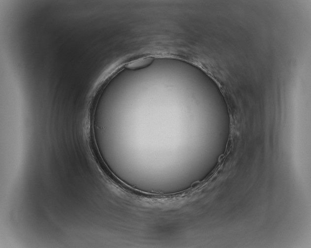 X0000113100005200909041235