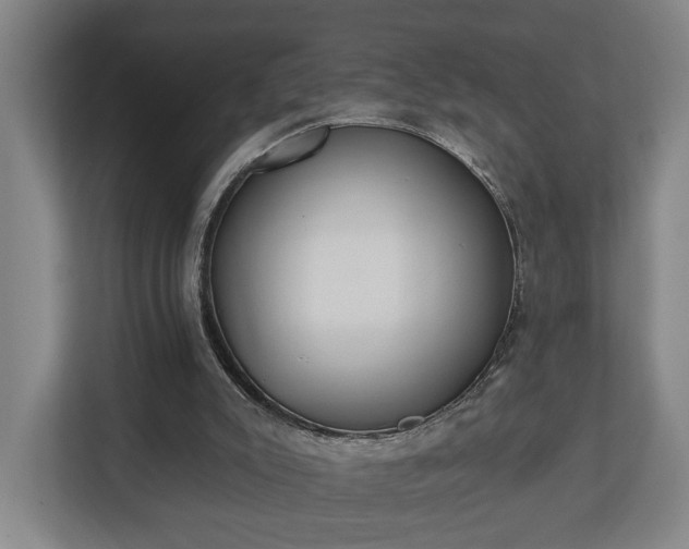 X0000113100007200909041235