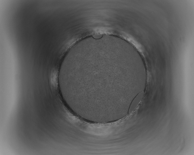 X0000113100009200909041235