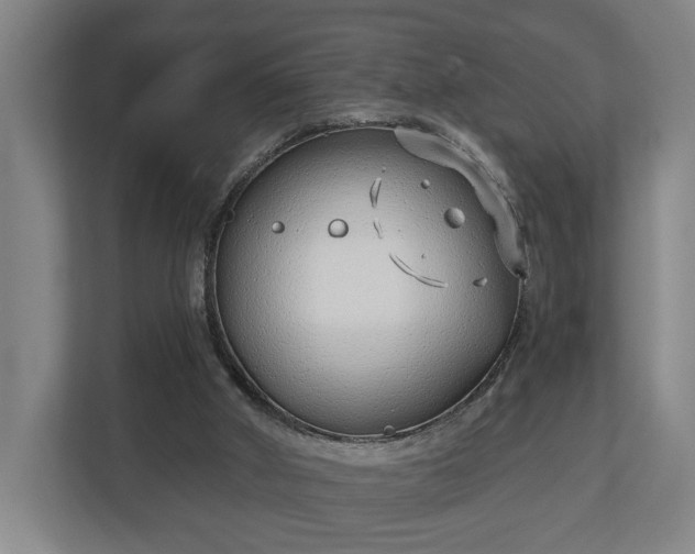 X0000113100010200909041235