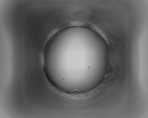X0000113100011200909041235