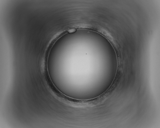 X0000113100012200909041235