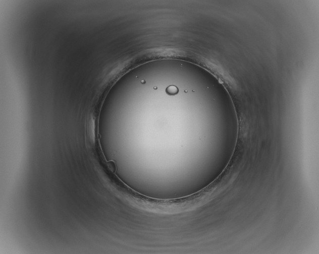 X0000113100014200909041235