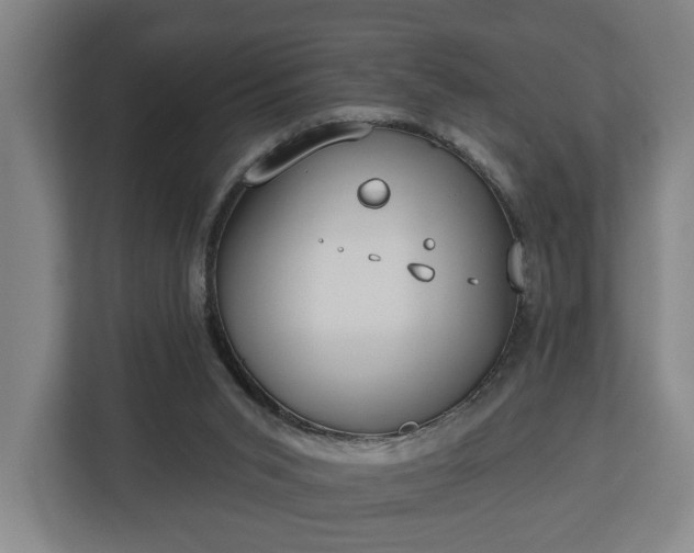 X0000113100015200909041235