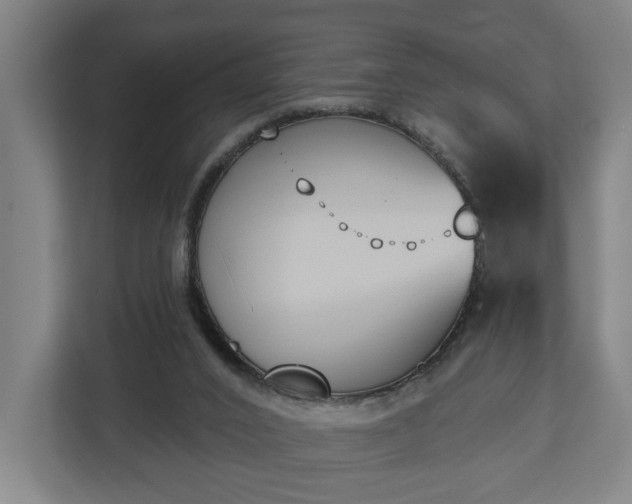 X0000113100016200909041235
