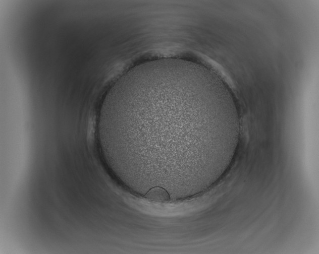 X0000113100018200909041235