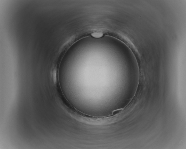 X0000113100019200909041235