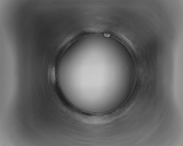 X0000113100020200909041235