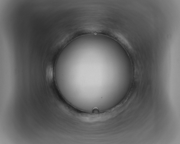 X0000113100021200909041235